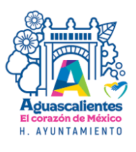 Gobierno Aguascalientes